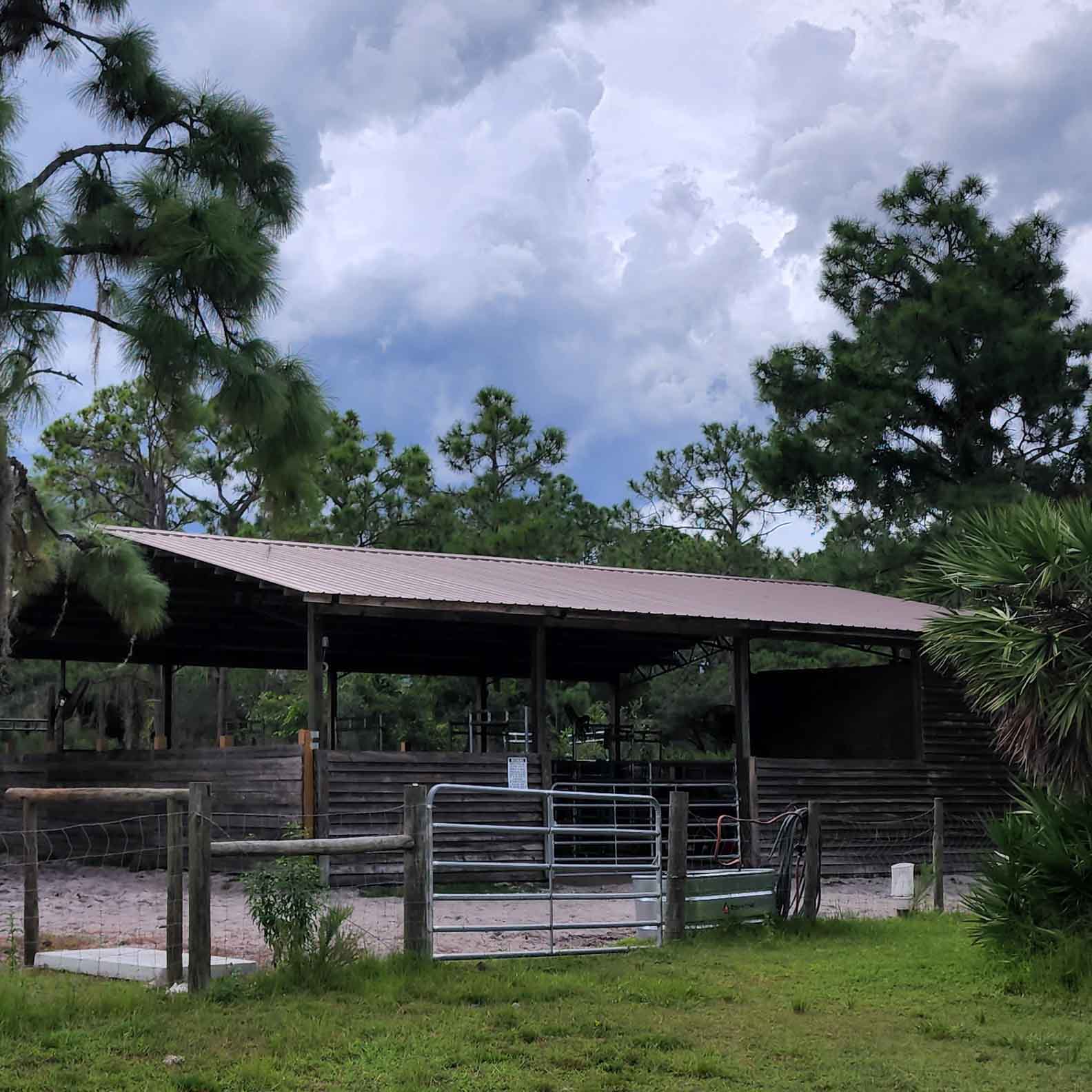 Double J's Ranch has a six stall panel barn nestled in the shade with an adjacent turnout